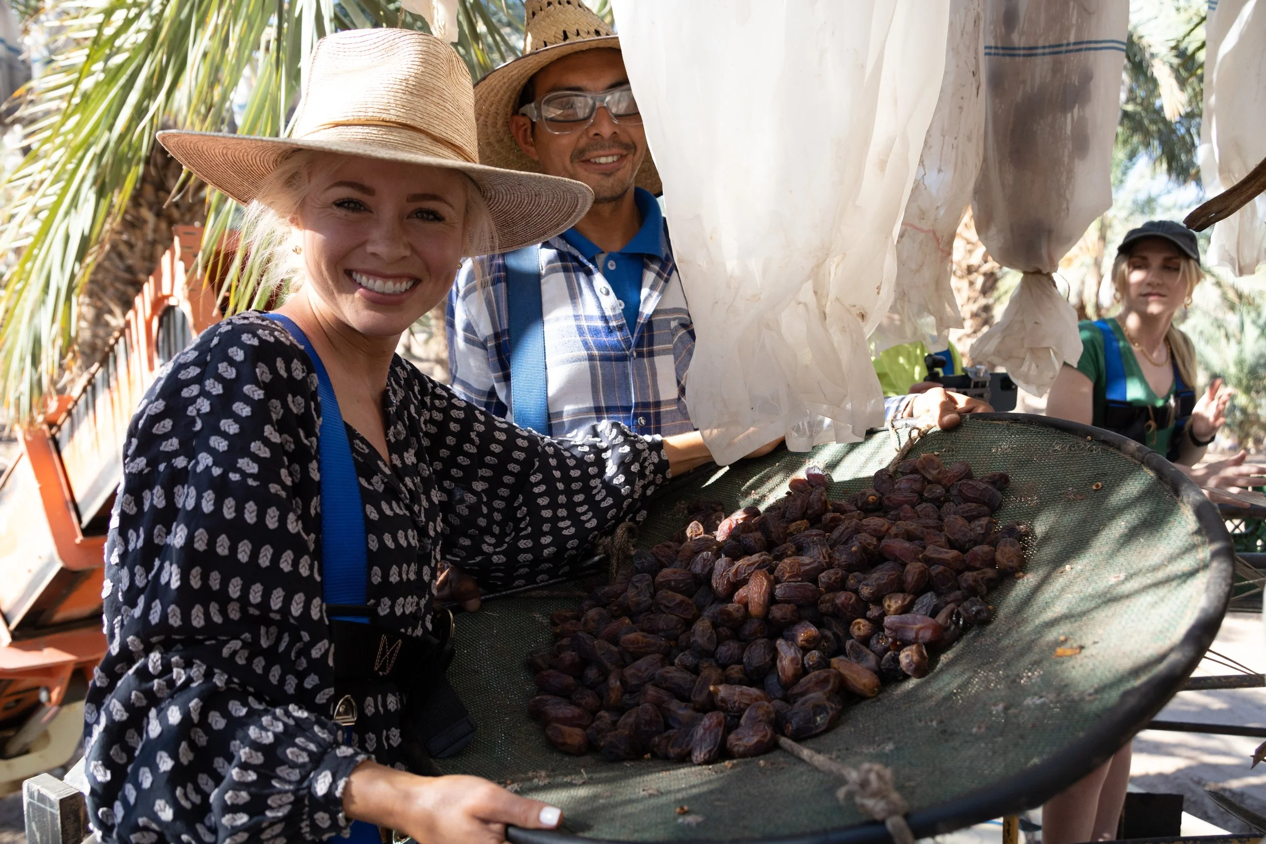 Behind the Scenes of a Medjool Date Harvest in Bard Valley, California