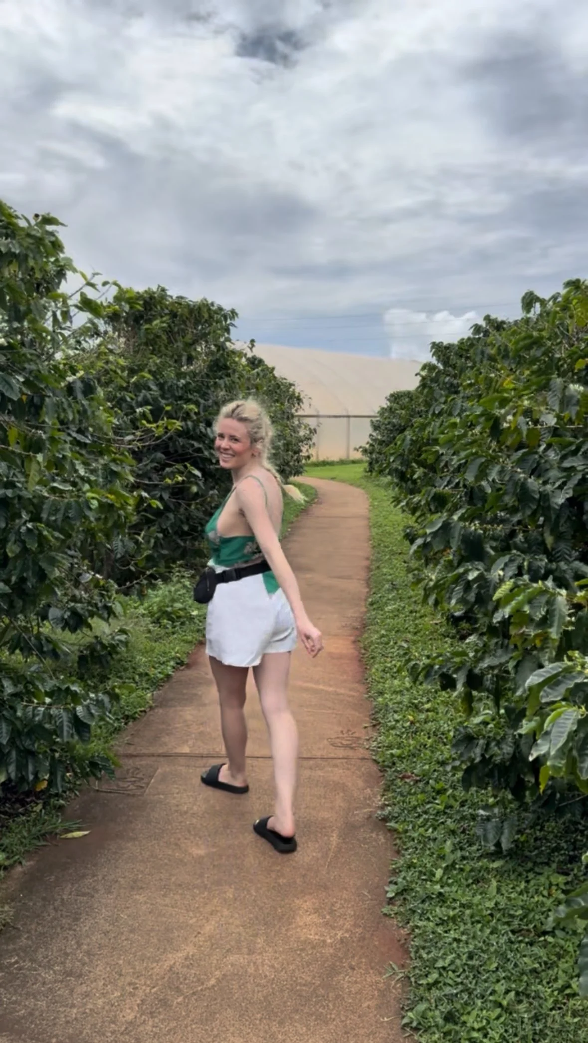 Planning a trip to Kauai? Don’t miss a tour of the Kauai Coffee Company. Explore lush coffee fields and taste Hawaii’s finest beans.