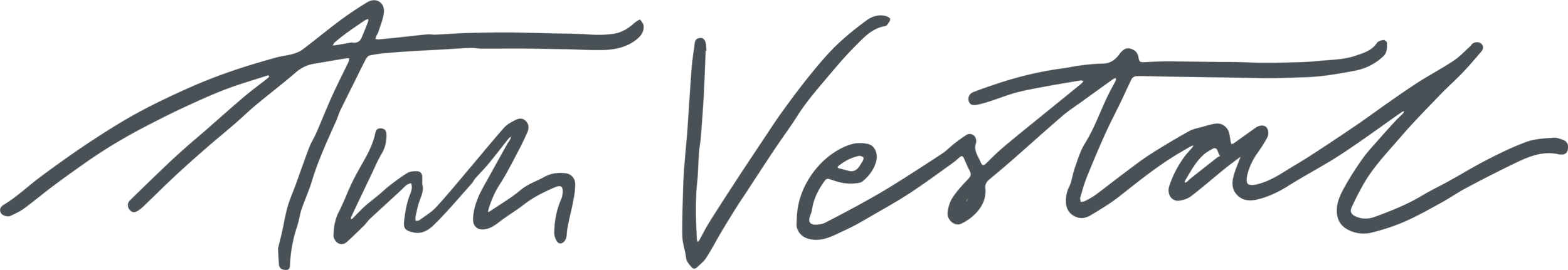 AnnVestal_Illustration_Name_Grey.png