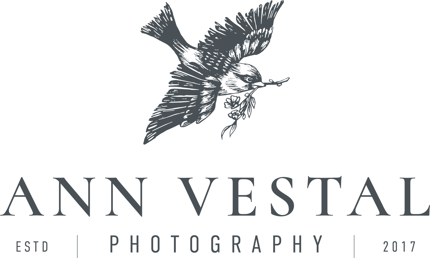 Ann Vestal Photography | Wedding and Lifestyle Photogrpaher