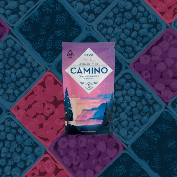 Dana J. Wright, Product Designer - HelloMD Kiva Camino