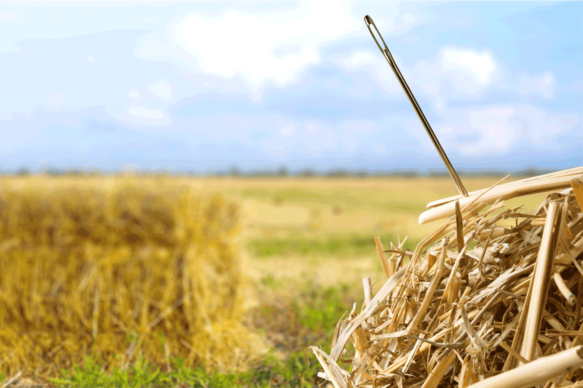 Needle-in-a-Haystack.png