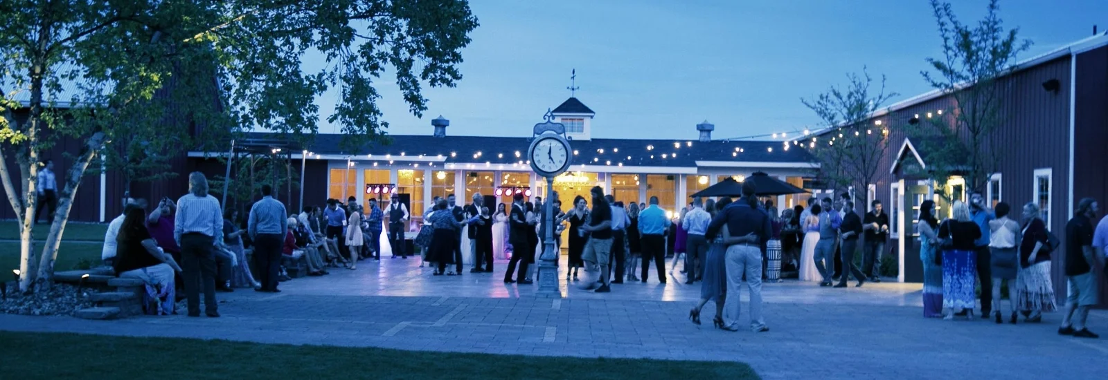 DISTANCE-SHOT-WEDDING-DJ.jpg