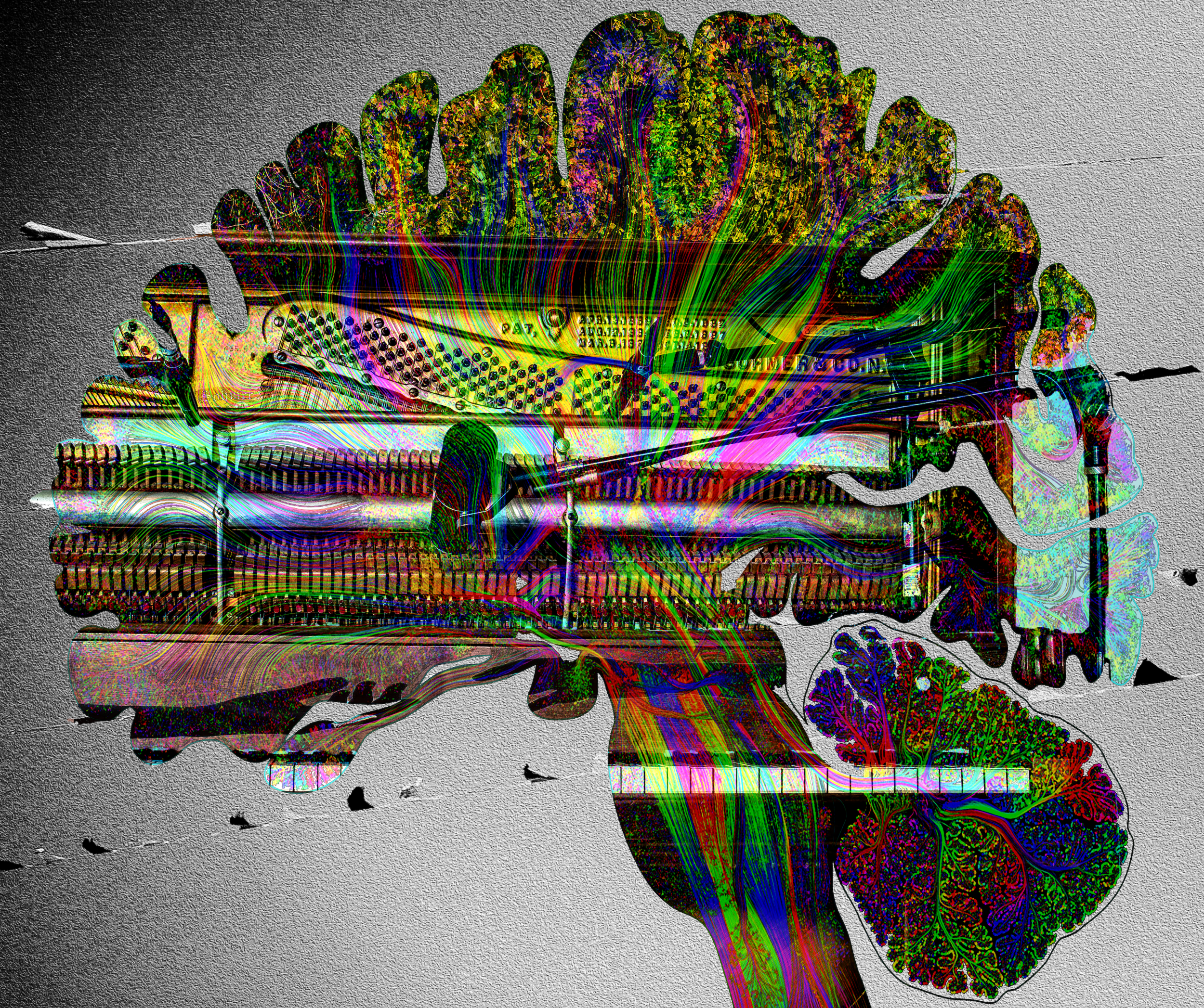 brainScreenPrinting.png