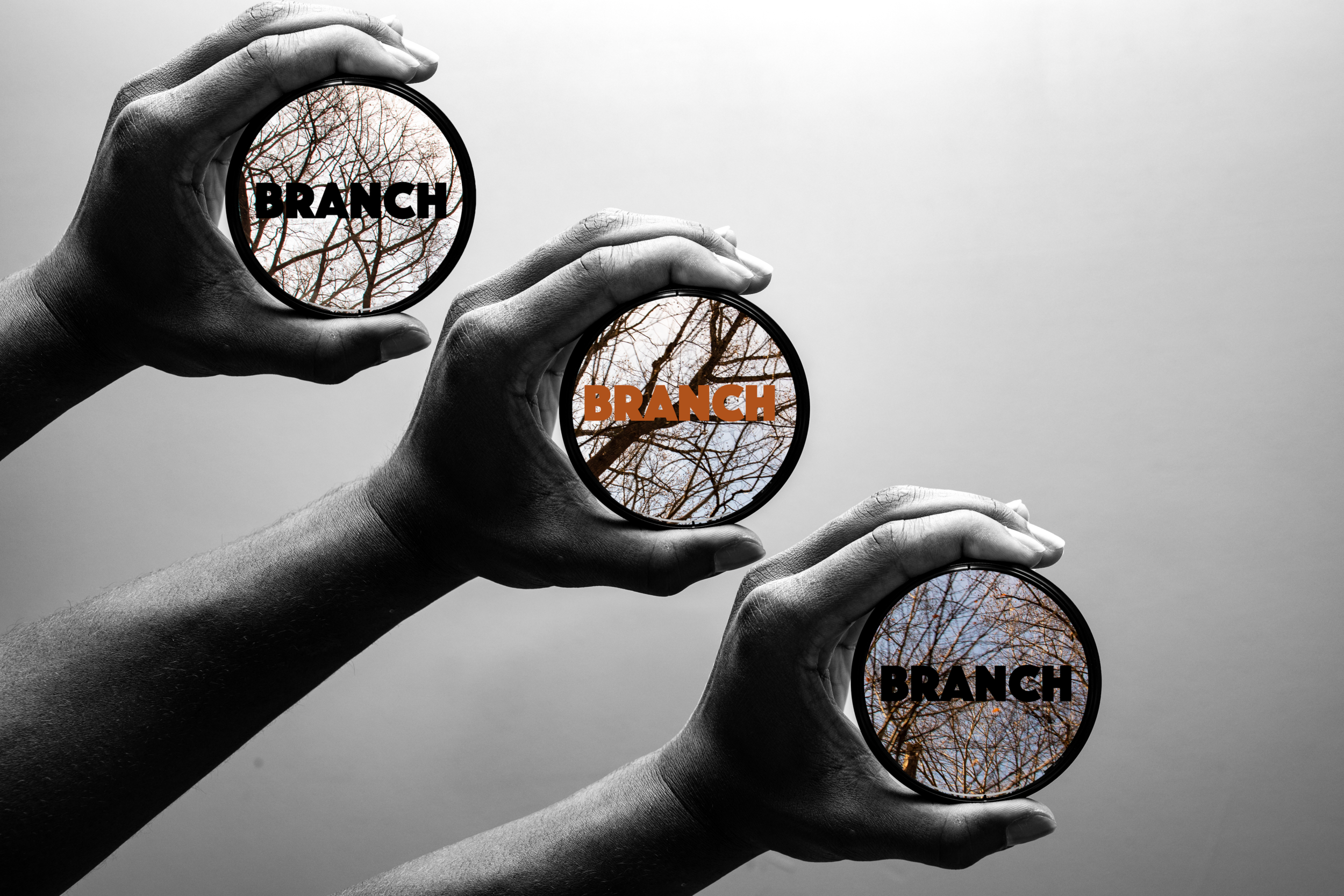 branchHands copy.png