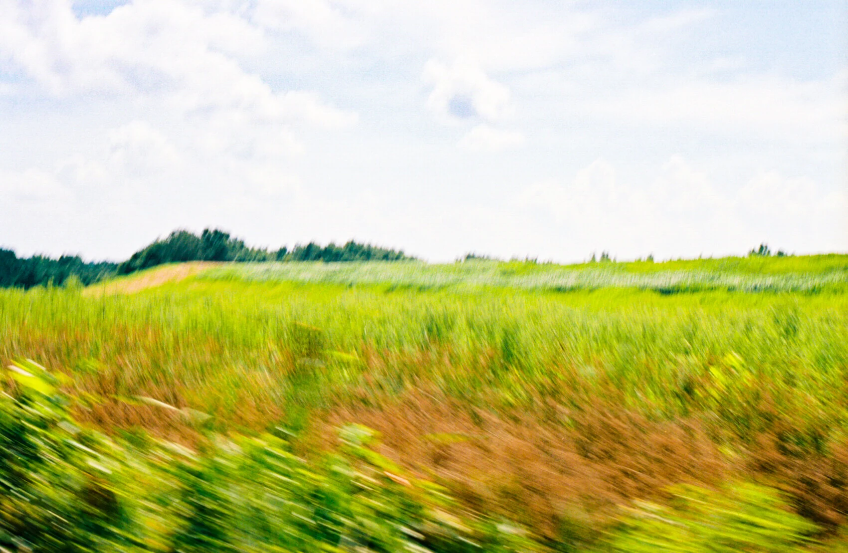 blurGrassField.jpg