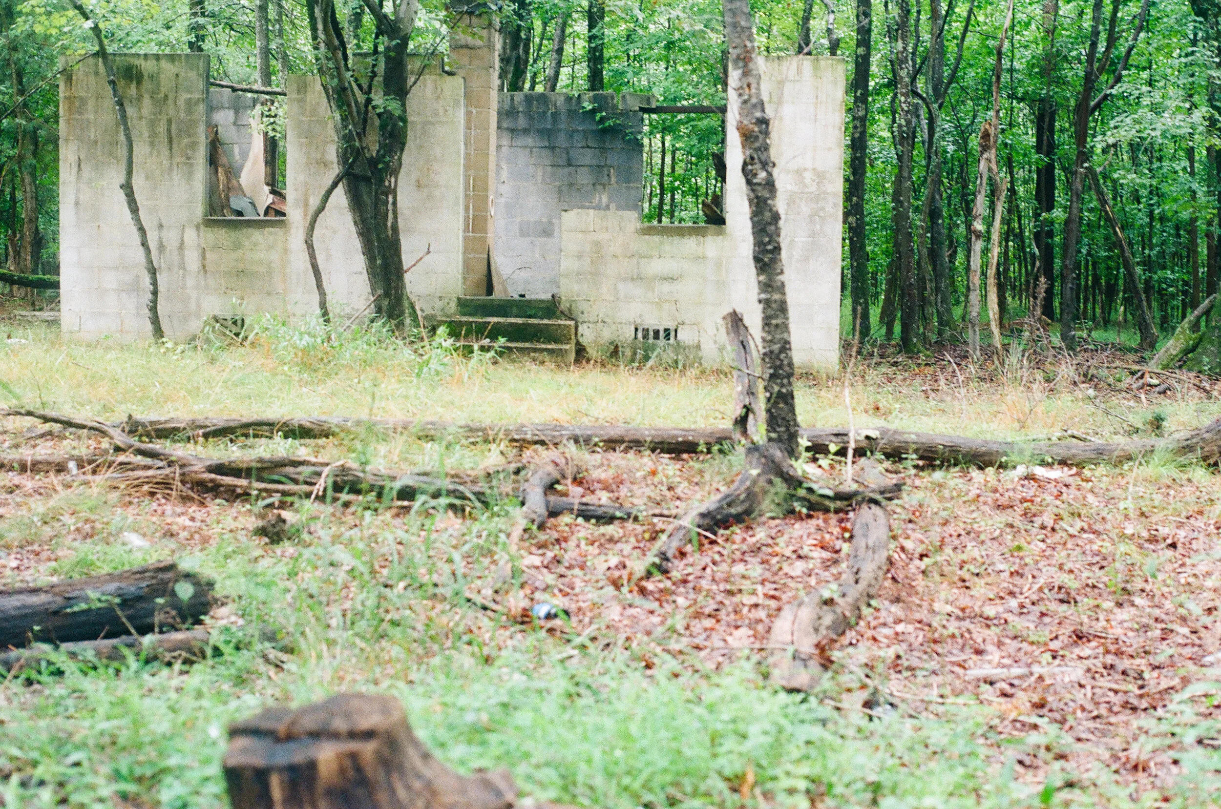 burntHouseInWoods.jpg