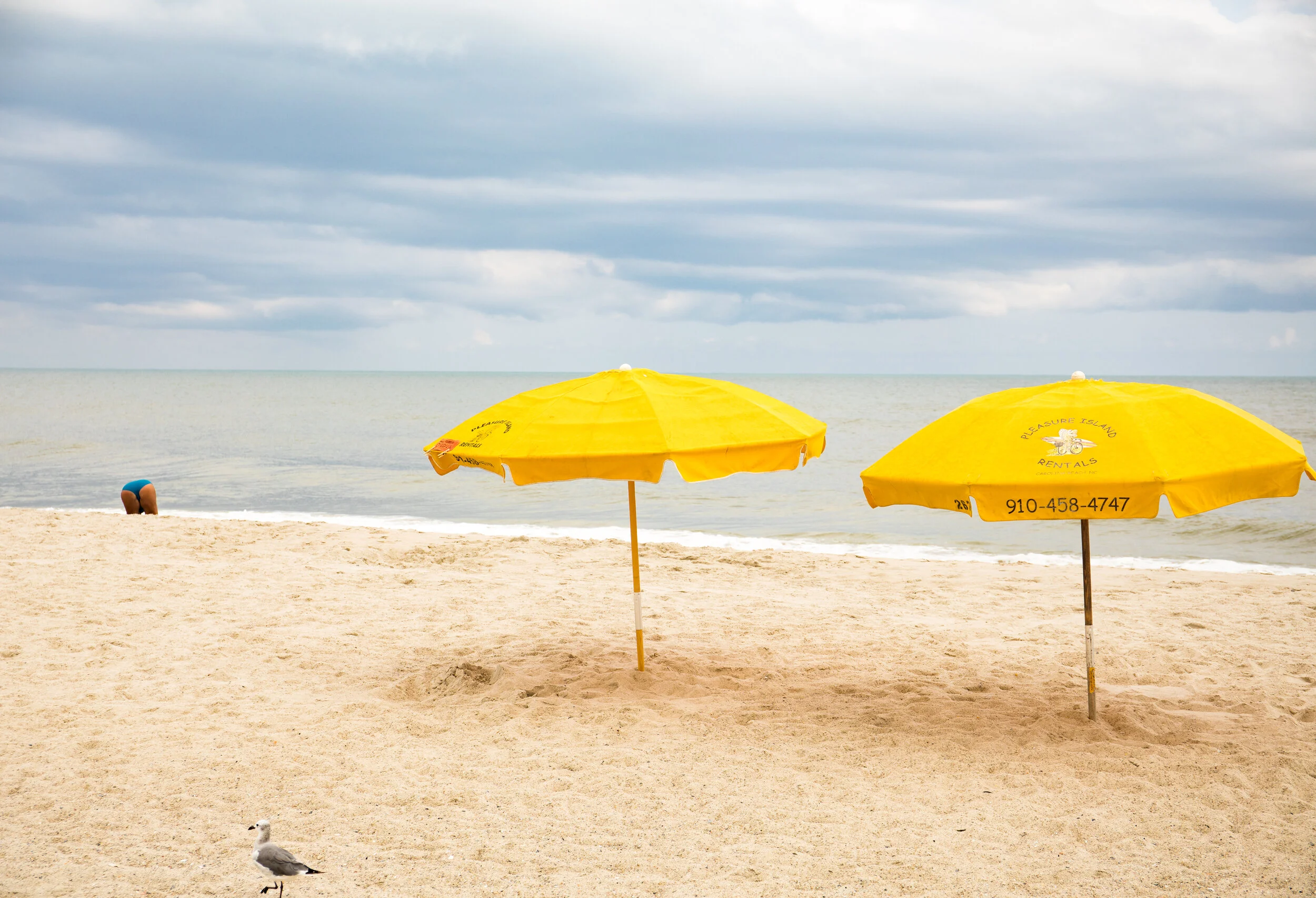 beachBirdAndWomanUmbrellas.jpg