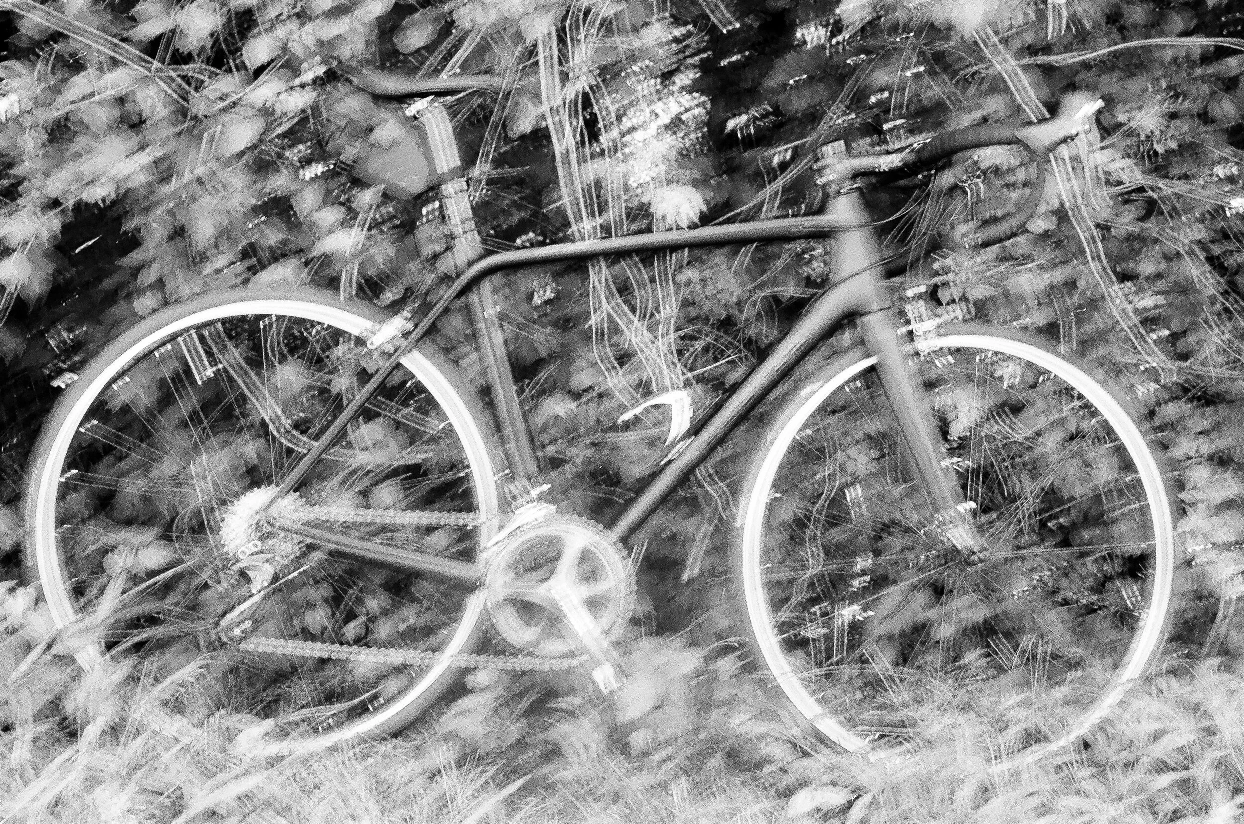 bikeInTheTreesBlurry.jpg