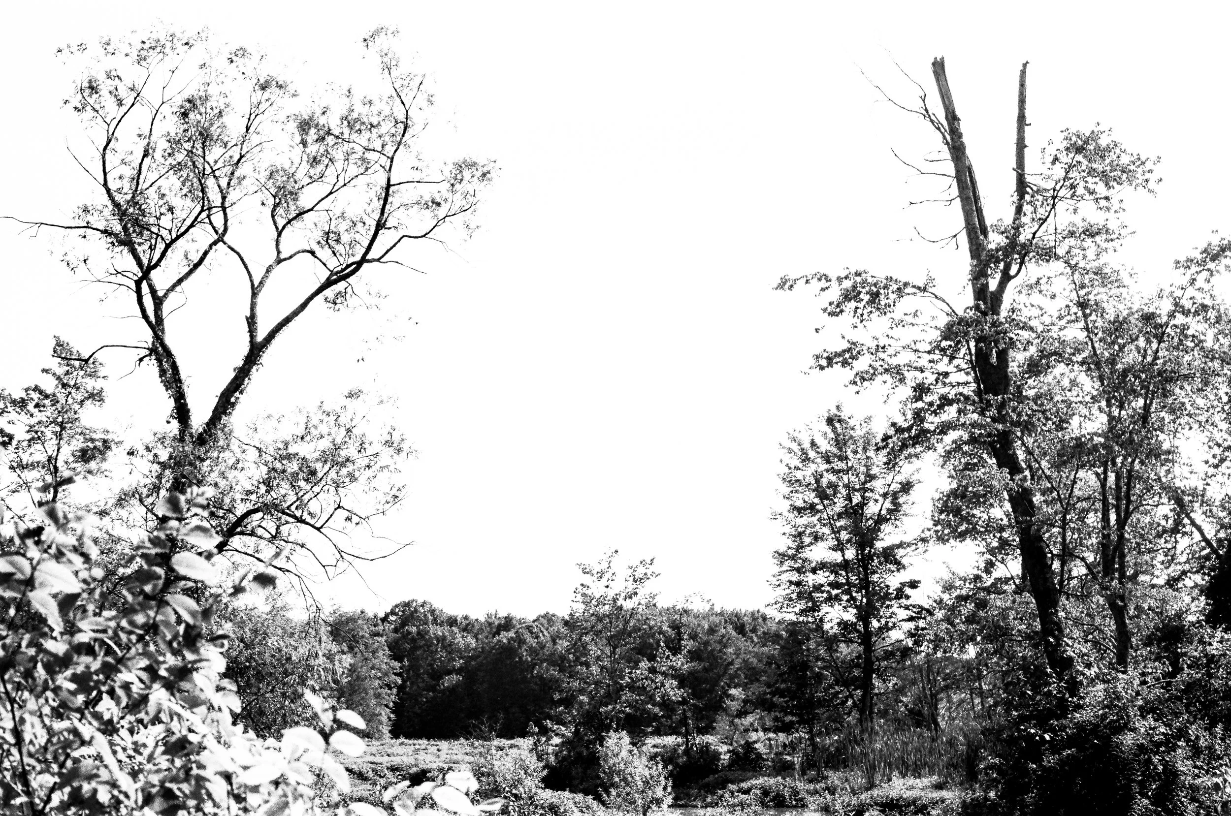 DMVnature2021_film (17 of 34).jpg