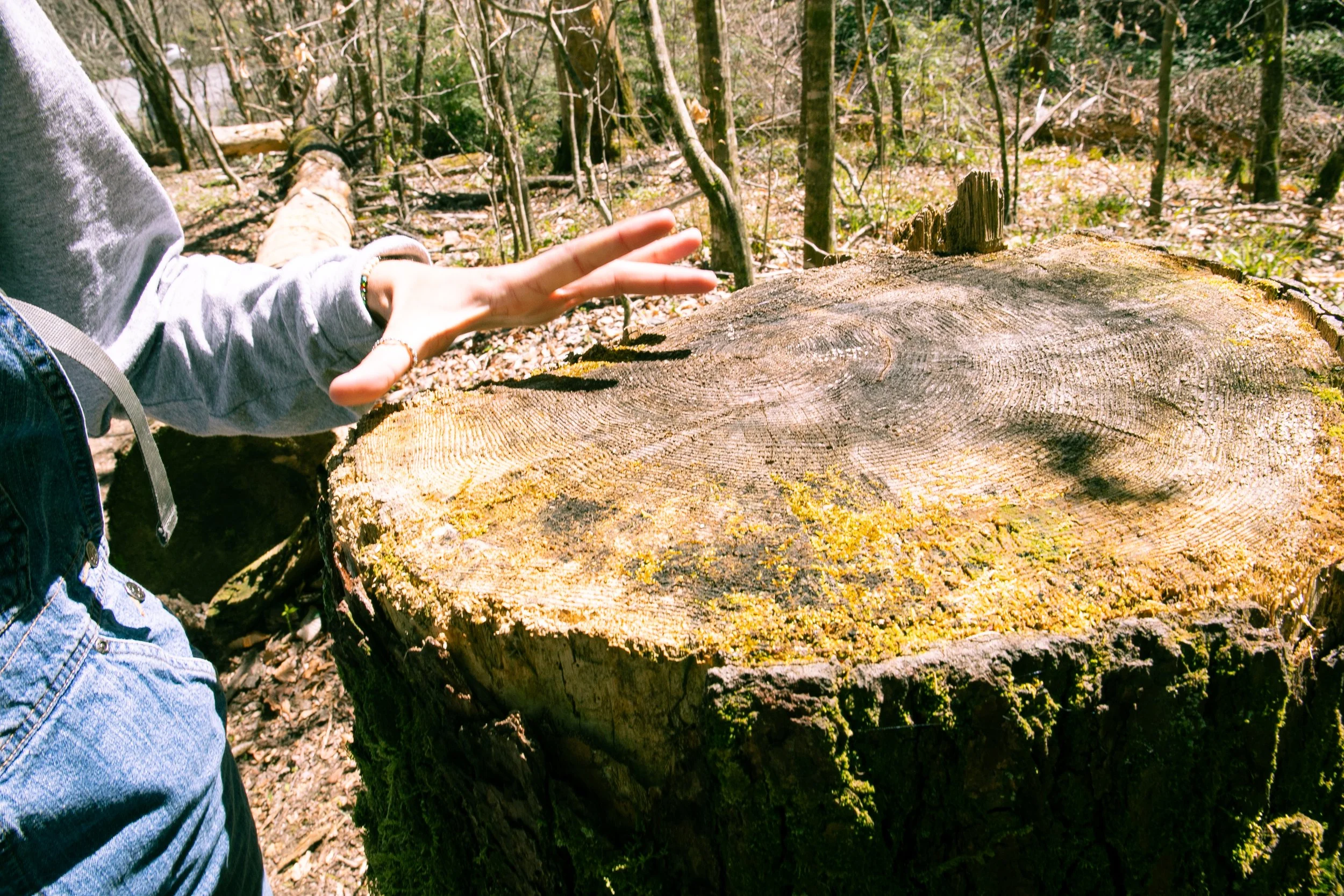 HikeWithOlive_April6_2024-46.jpg