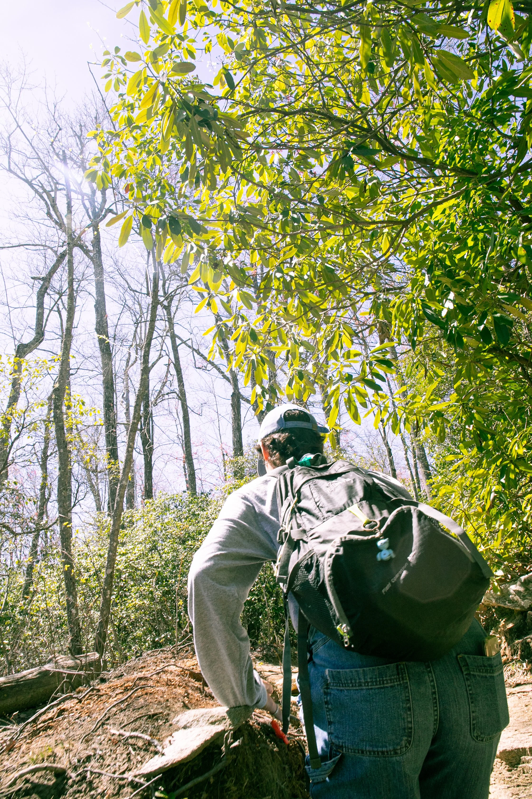 HikeWithOlive_April6_2024-37.jpg