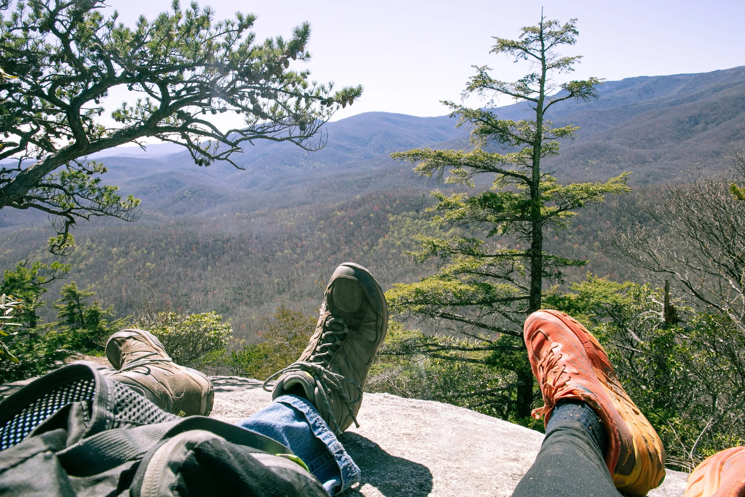 HikeWithOlive_April6_2024-26.jpg