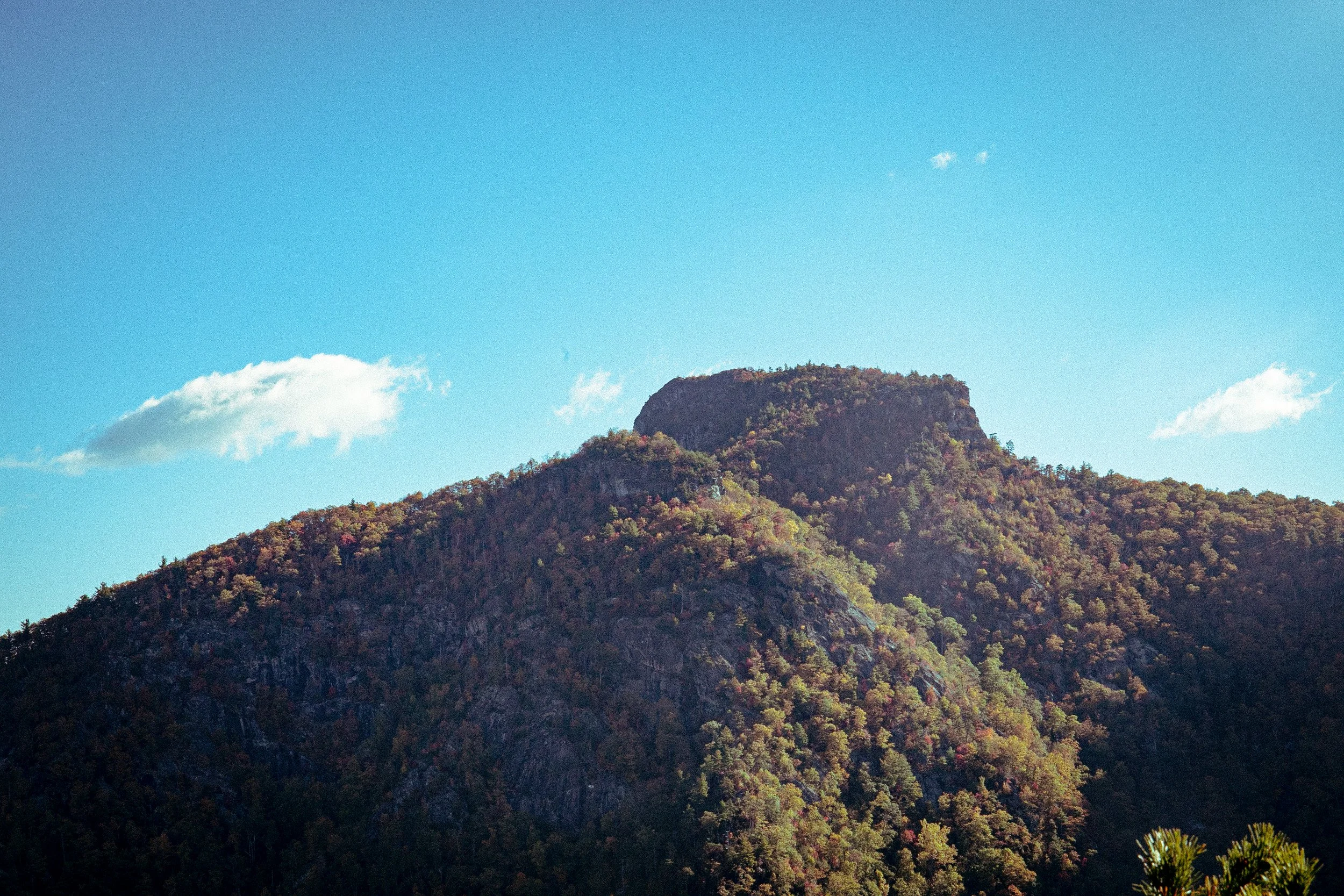 LinvilleGorge_2023_ForSquarespace-4.jpg