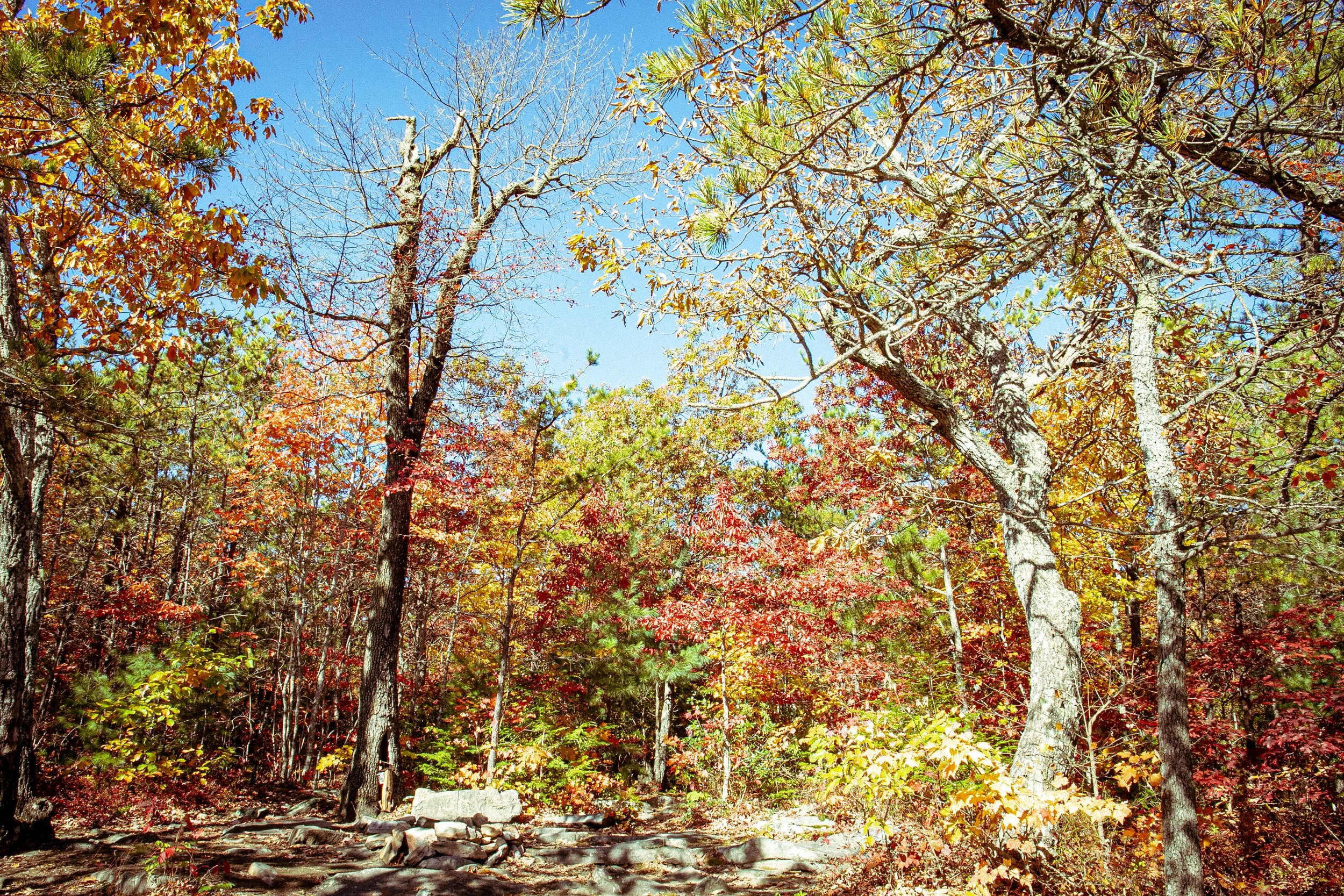 LinvilleGorge_2023_ForSquarespace-3.jpg