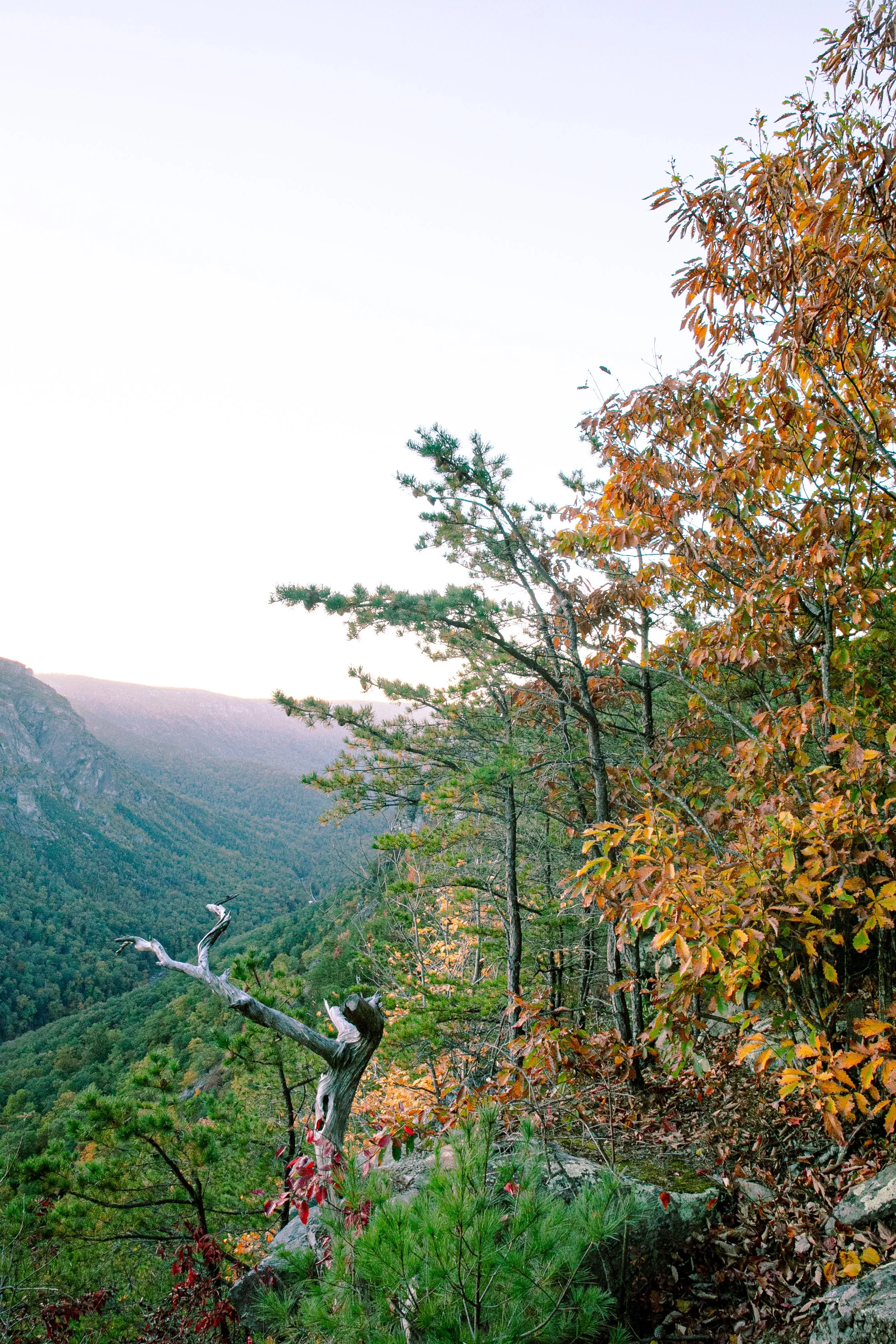 LinvilleGorge_2023_ForSquarespace-22.jpg