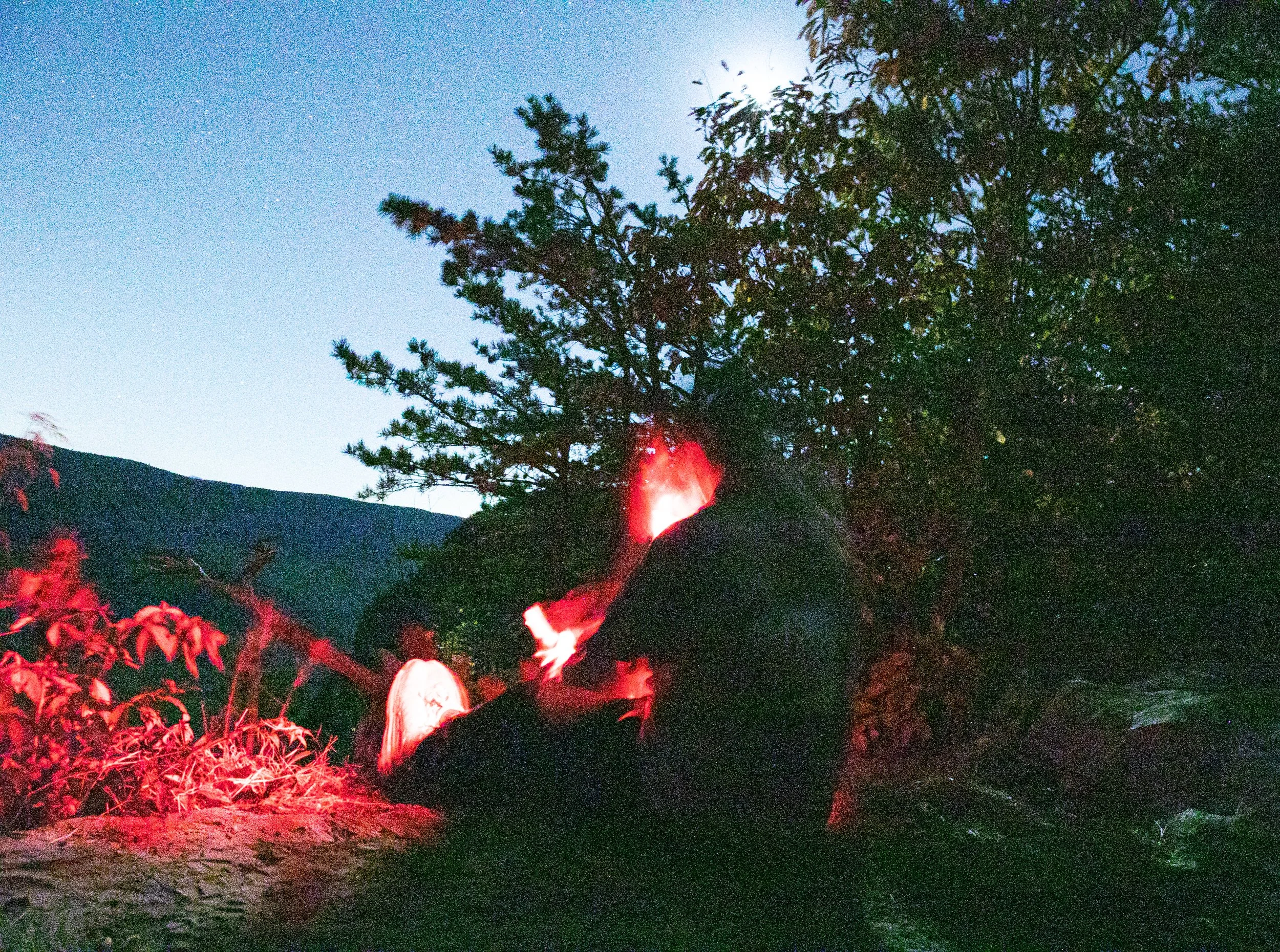 LinvilleGorge_2023_ForSquarespace-28.jpg