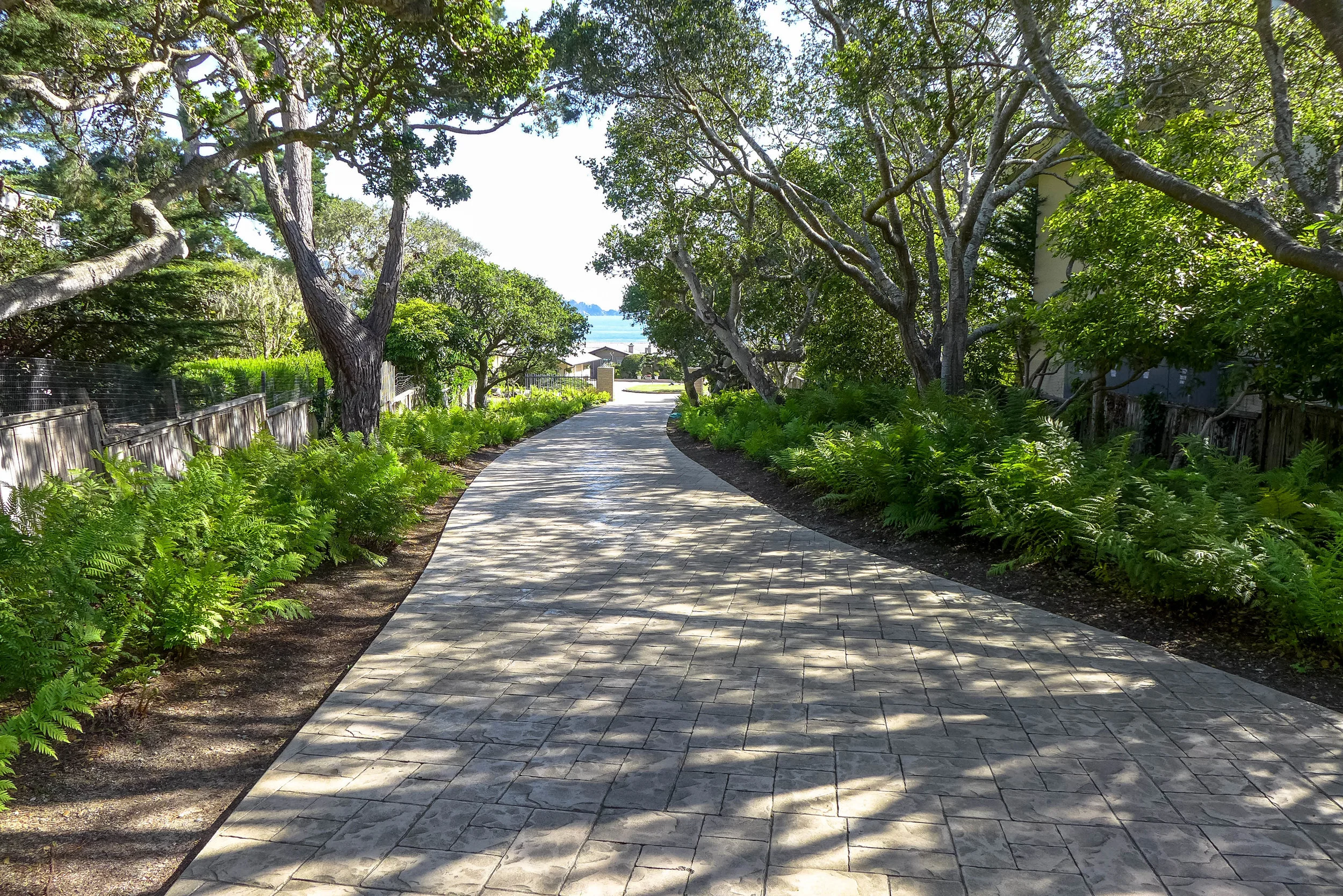 P1030364-2.jpg