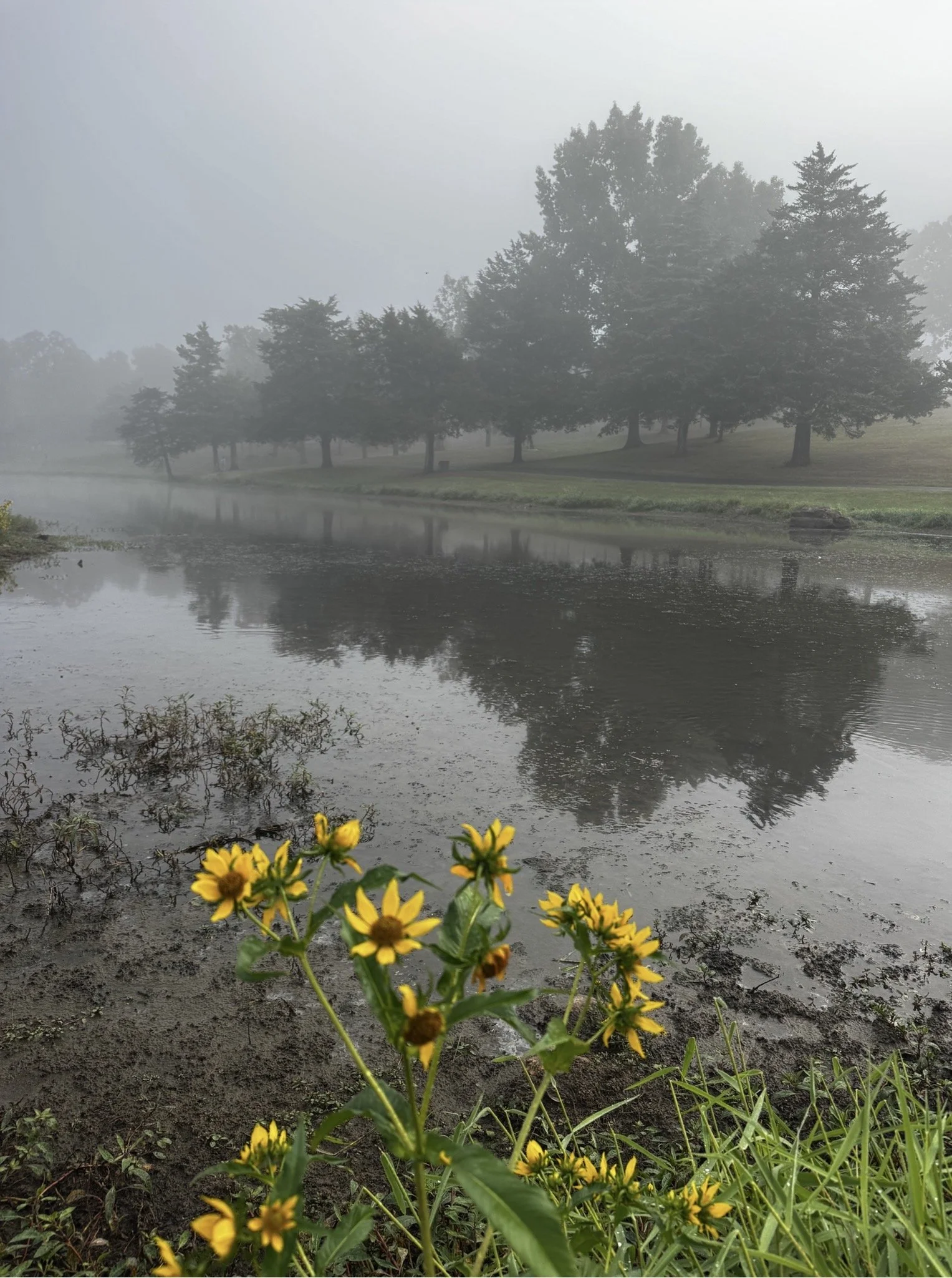 Finding Beauty In Everyday Life: Slowing Down To Notice
