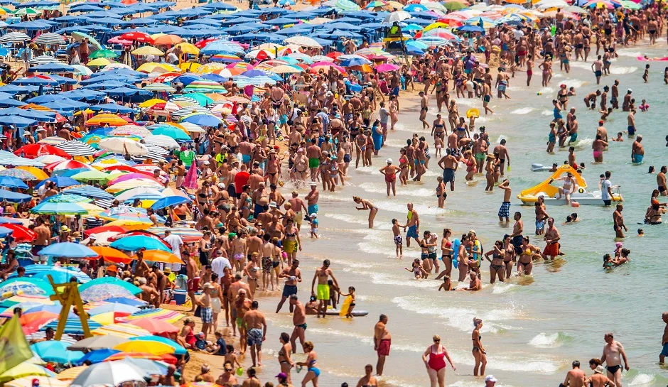 Road Trip or Resort Stay? 