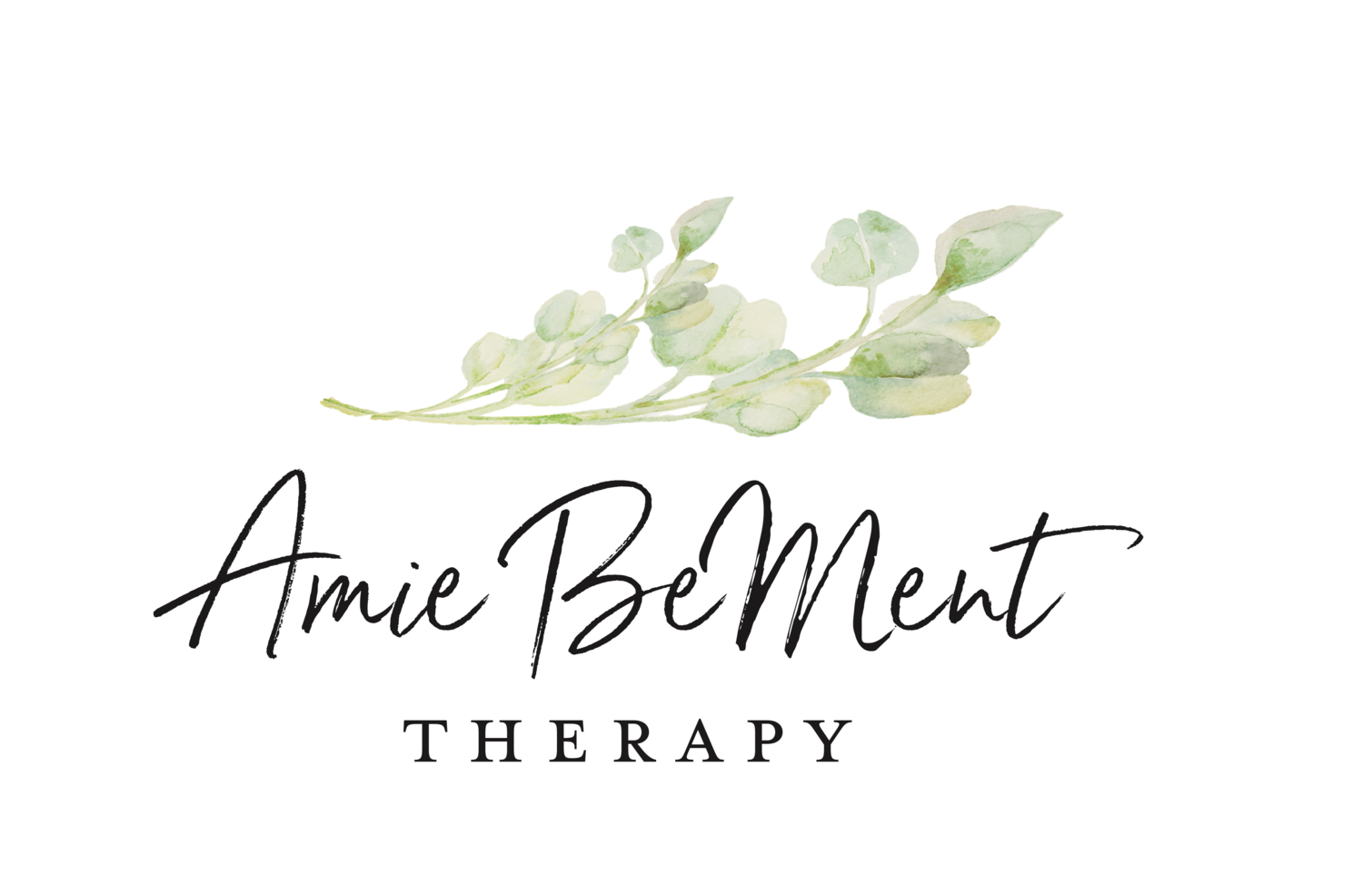 Amie BeMent Therapy