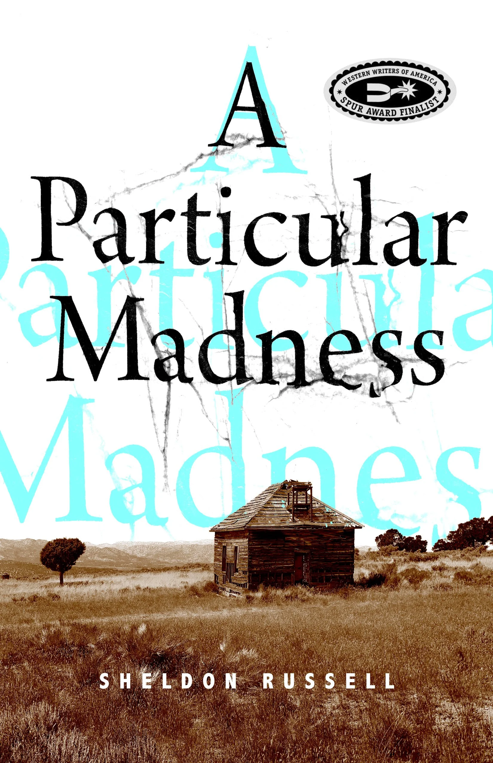 PARTICULAR MADNESS_cover with seal.jpg