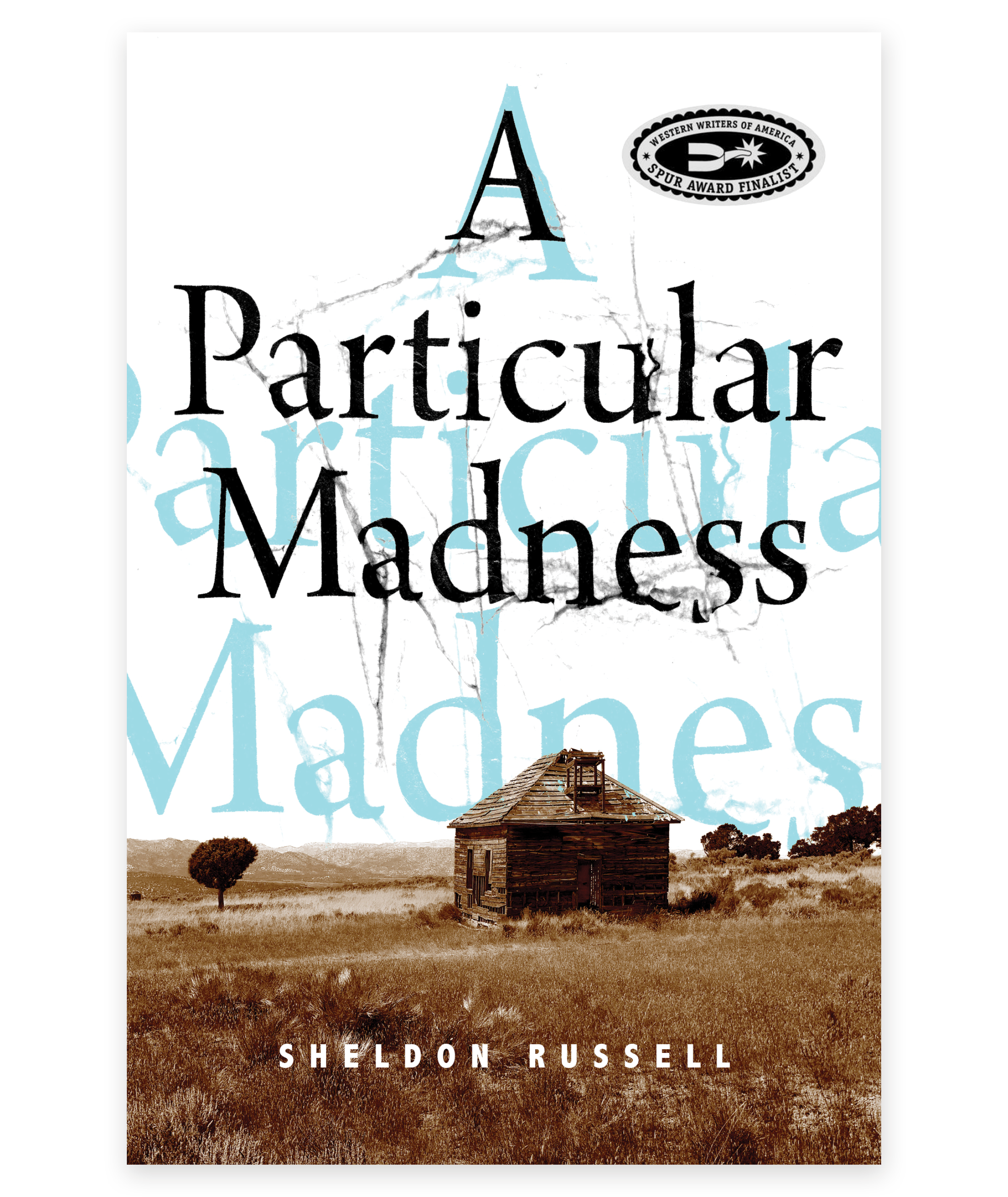 PARTICULAR COVER.png