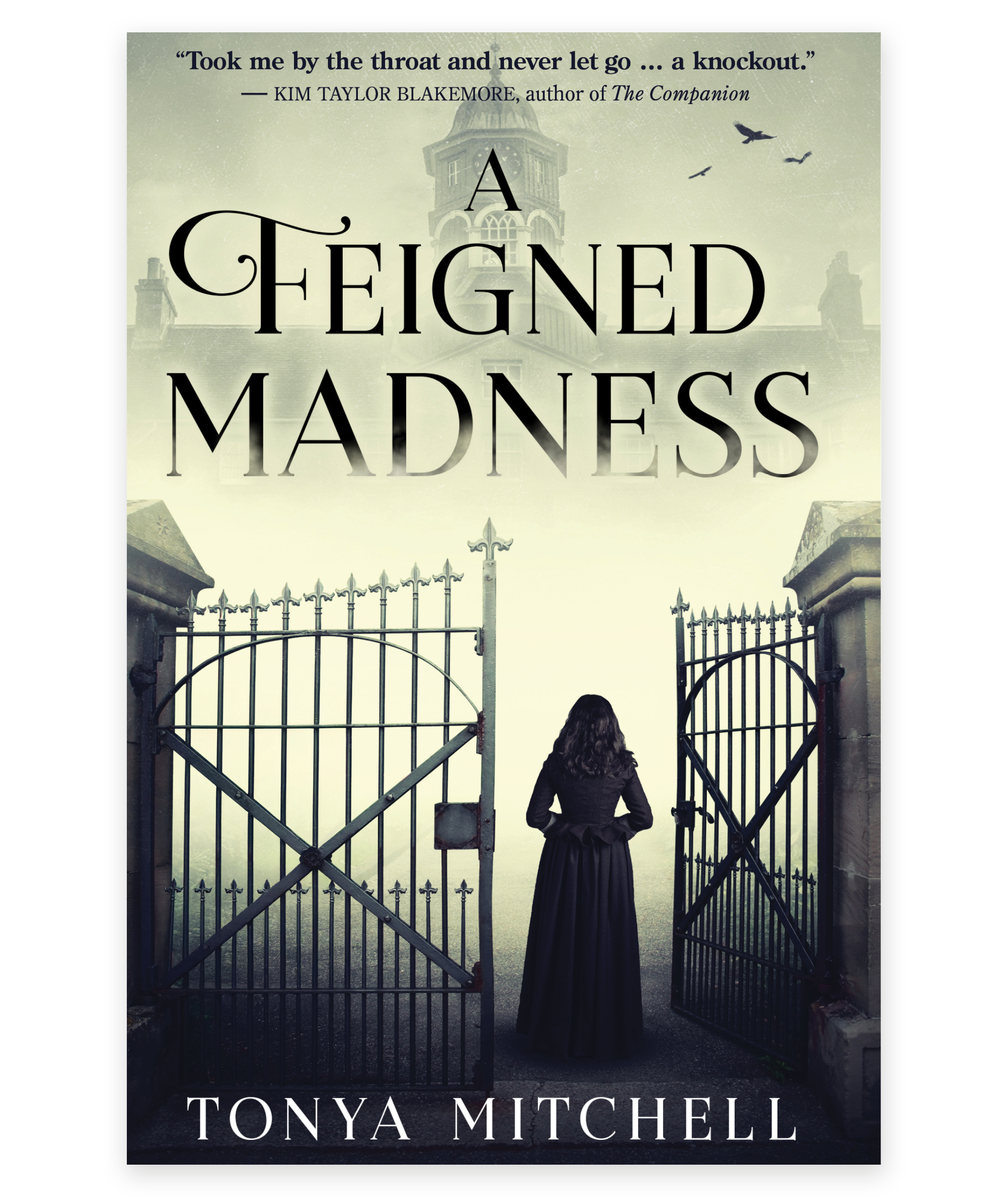 FEIGNED MADNESS mockup.png