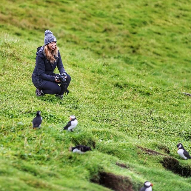 Practicing social distancing with my pint-sized friends! Hope everyone is staying safe and healthy. 📸&nbsp; Flash back to Aug 2018 when we were in the Faroe Islands for a bird watching + hiking trip.  Inspiration for the trip? @asksebby didn't want 