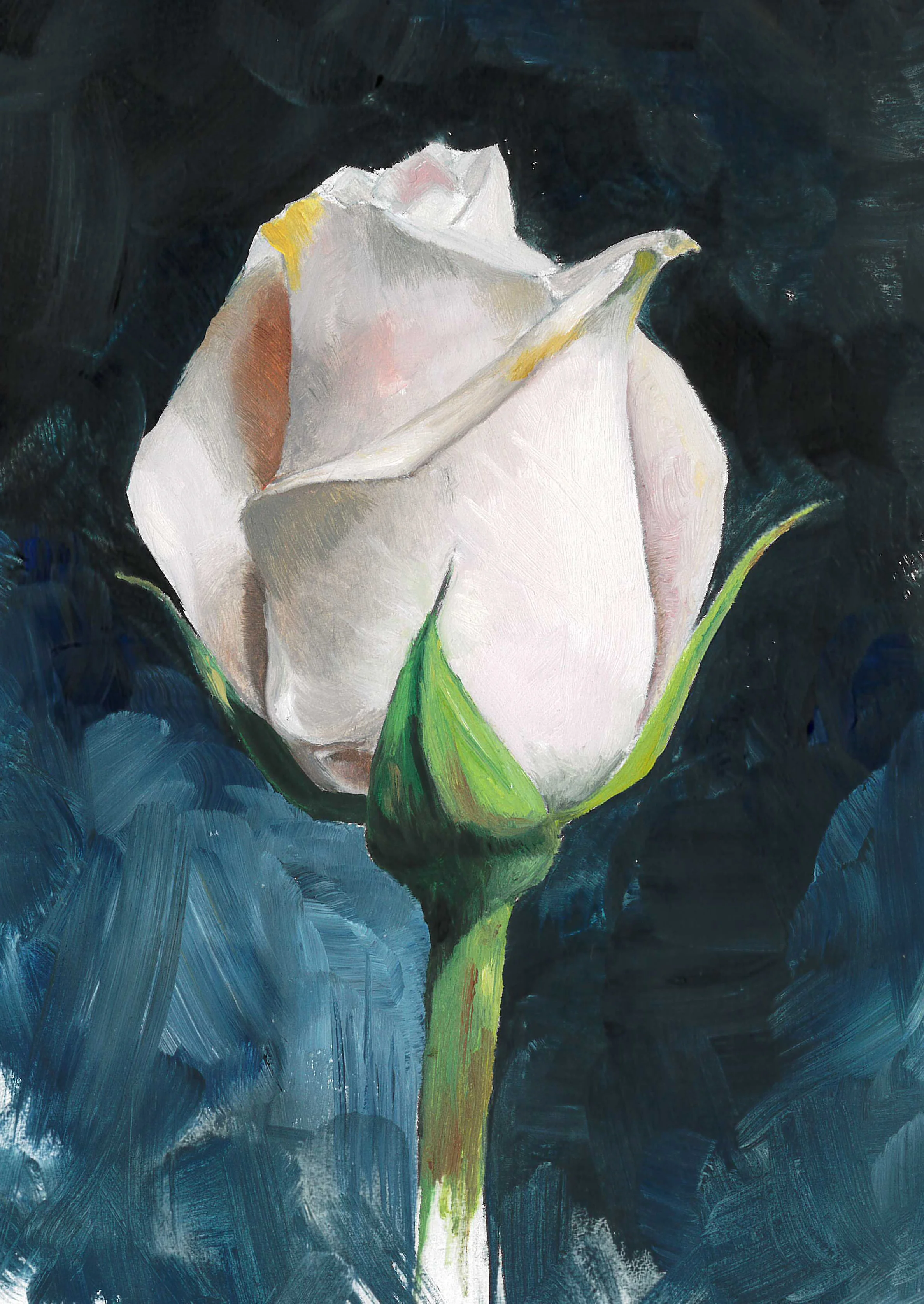 rose.jpg