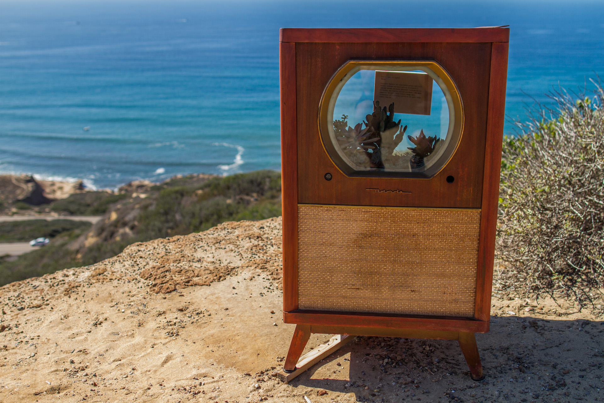 A small vintage mid-century television set sits on a cliff above the Pacific Ocean. Behind the screen glass is a terrarium of succulents and native plants.