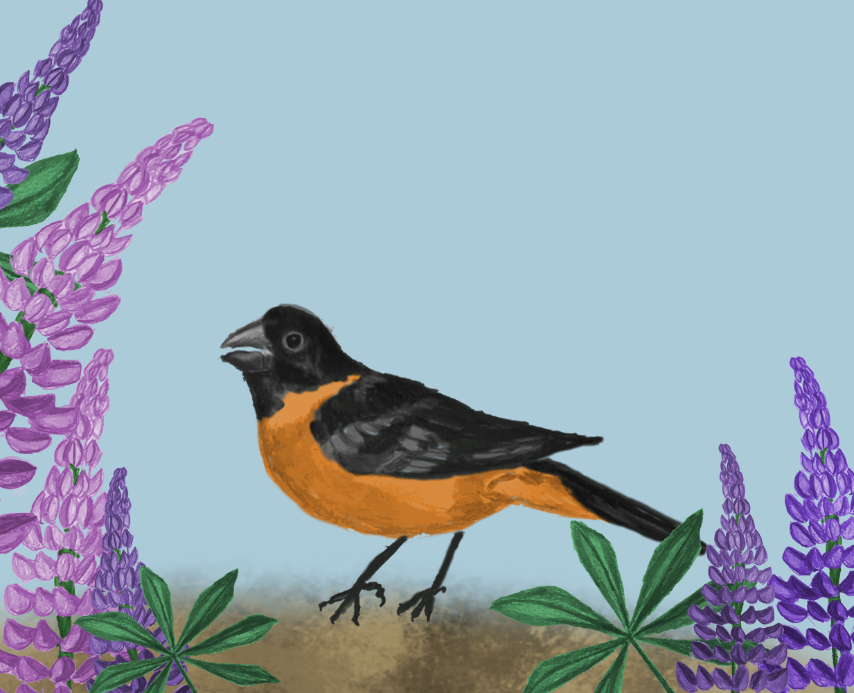 A closeup of a whimsical animated illustration of a grosbeak surrounded by purple flowers.
