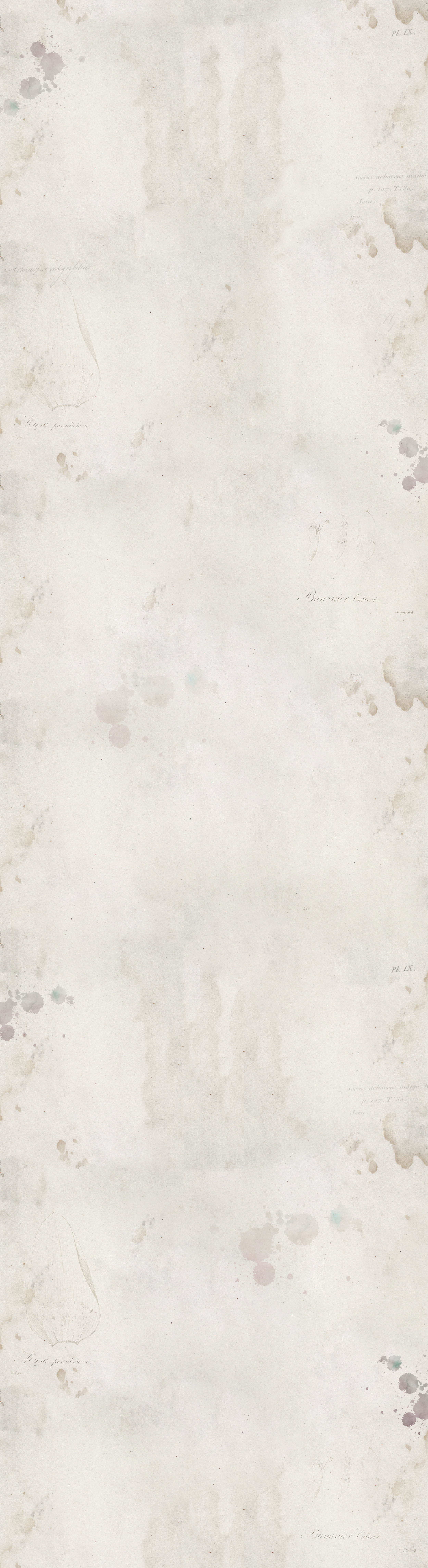 Artist-Paper-55TG.jpg