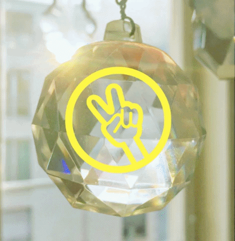 Animated GIF-downsized_large.gif