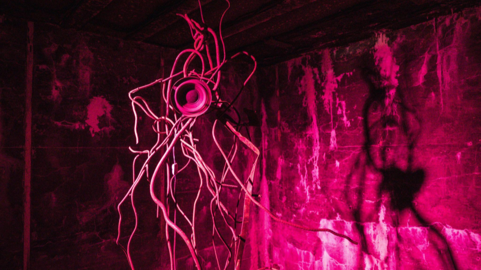 Exhibition with Olga Szymula in Regelbau 411