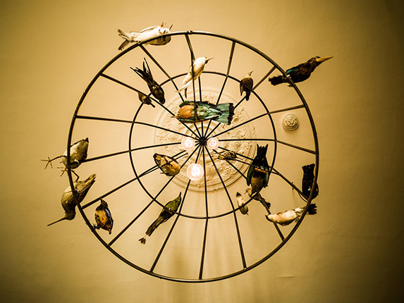 birdlight.jpg