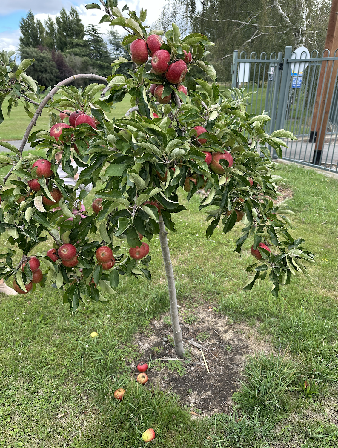 Wednesday 28th January, 2026