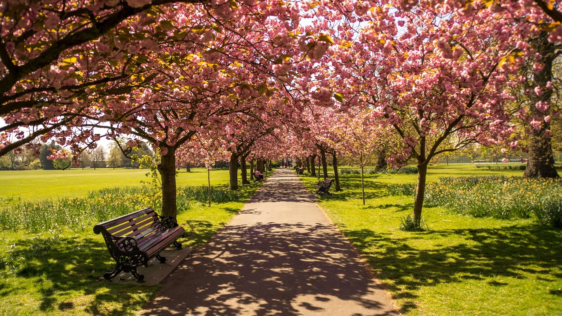 Greenwich.jpg