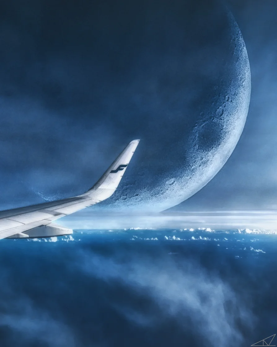 The Moonlight Flight.jpg