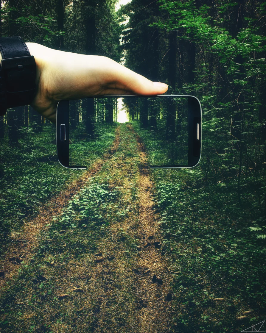 Follow the Path.jpg