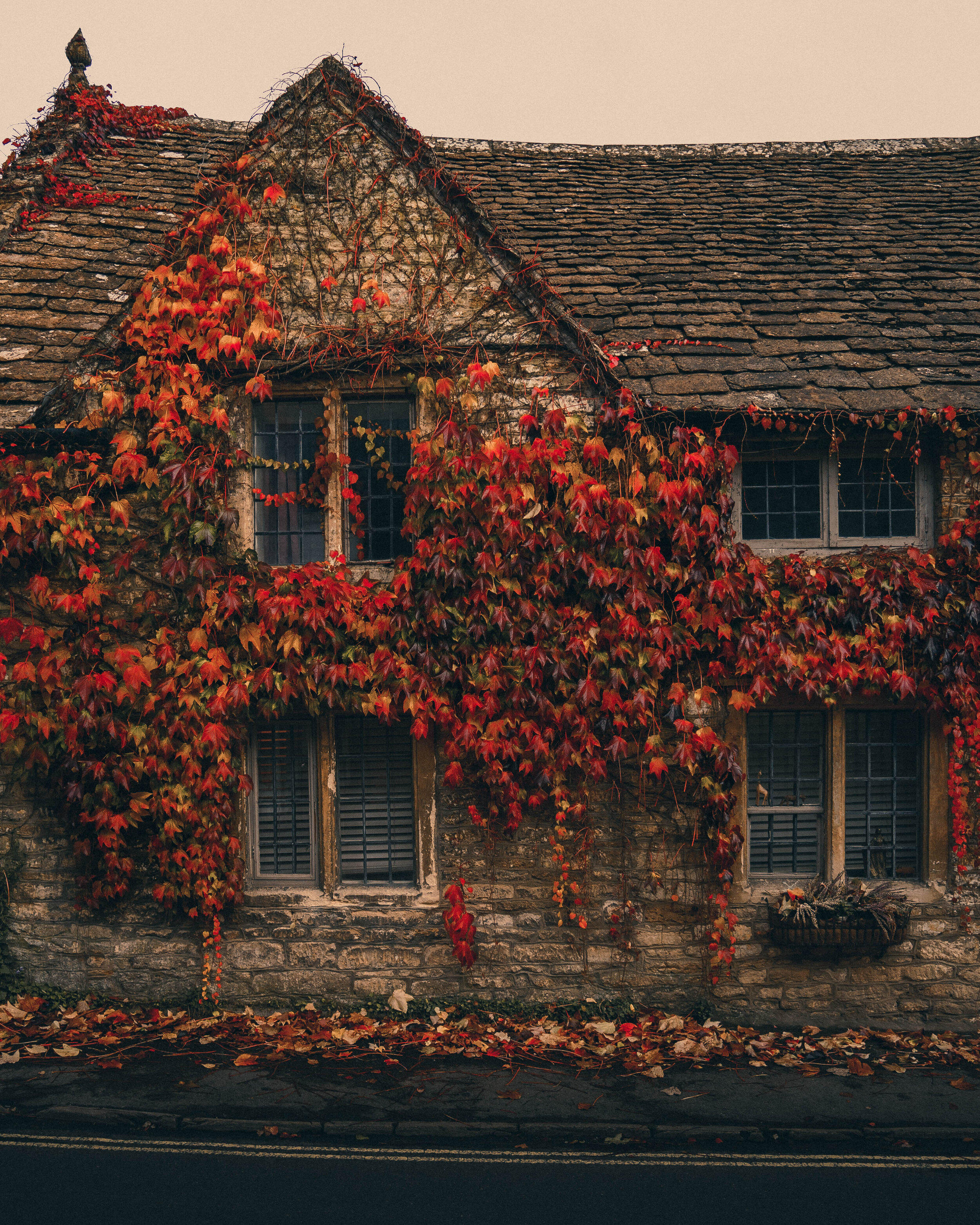 Autumn in Hampstead, London