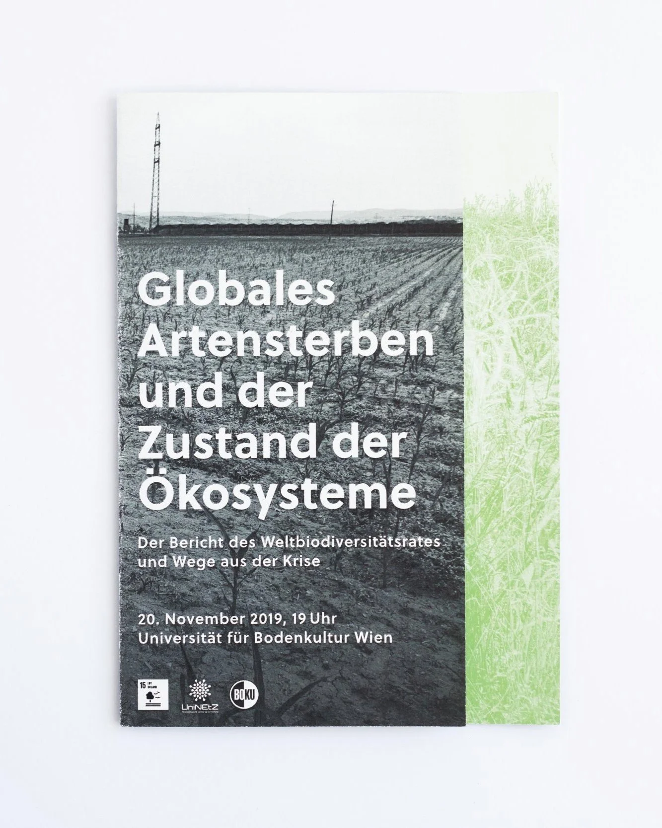 BOKU_Folder_8358%2B_Katja_Hasenoehrl.jpg