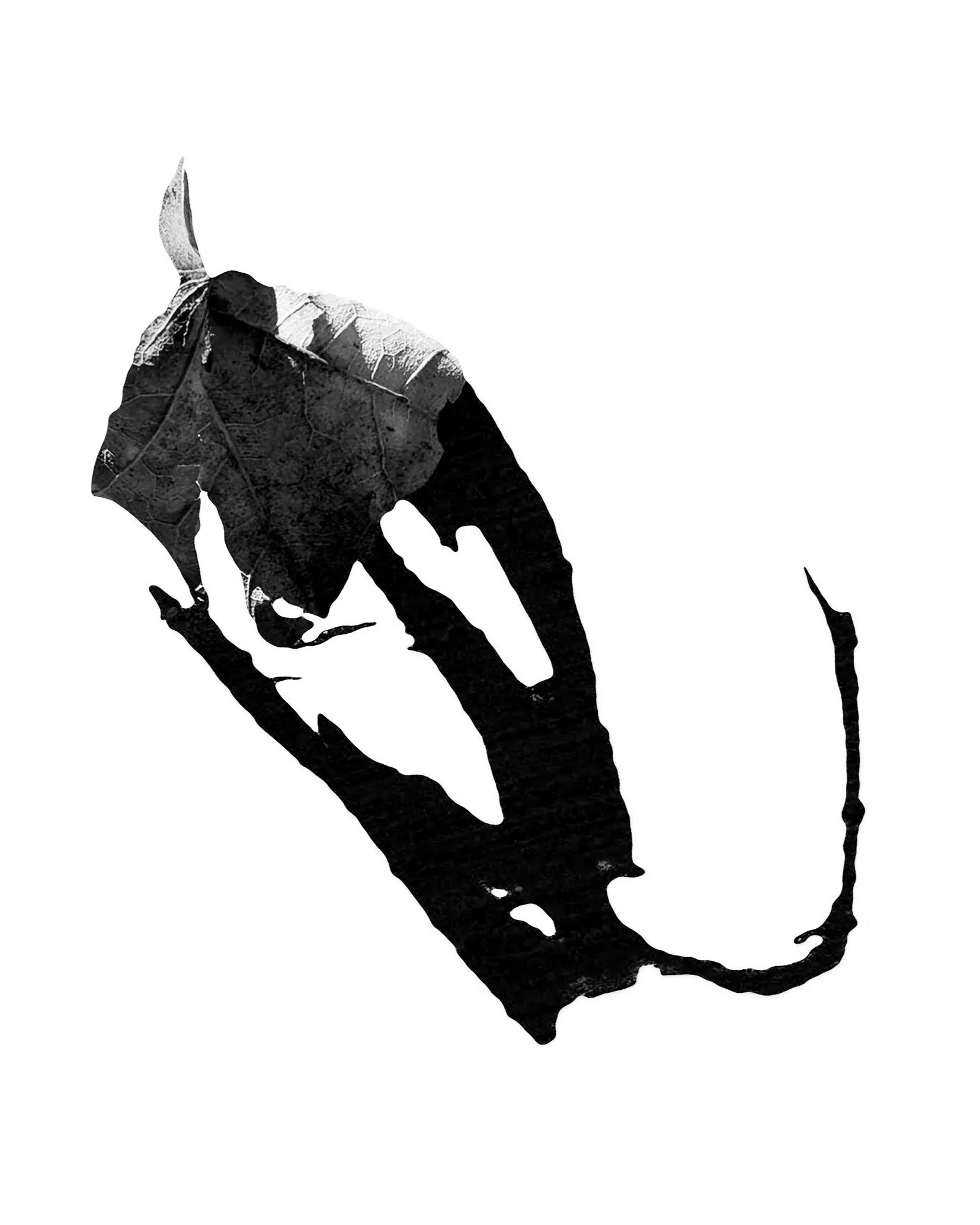 Crane (Third Thing Series), architectural print, 24" x 36", 2026