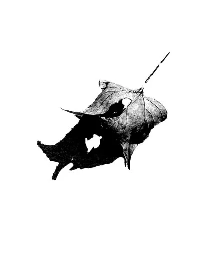 Peep (Third Thing Series), architectural print, 24" x 36", 2026