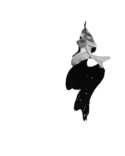 Noir (Third Thing Series), architectural print, 24" x 36", 2026