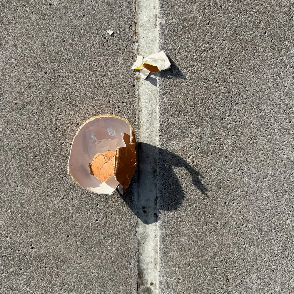 Egg