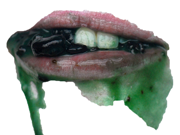 A mouth with lips slightly parted, revealing teeth and some slimy black substance, with green liquid dripping from the lips and some black/ green substance on the teeth.