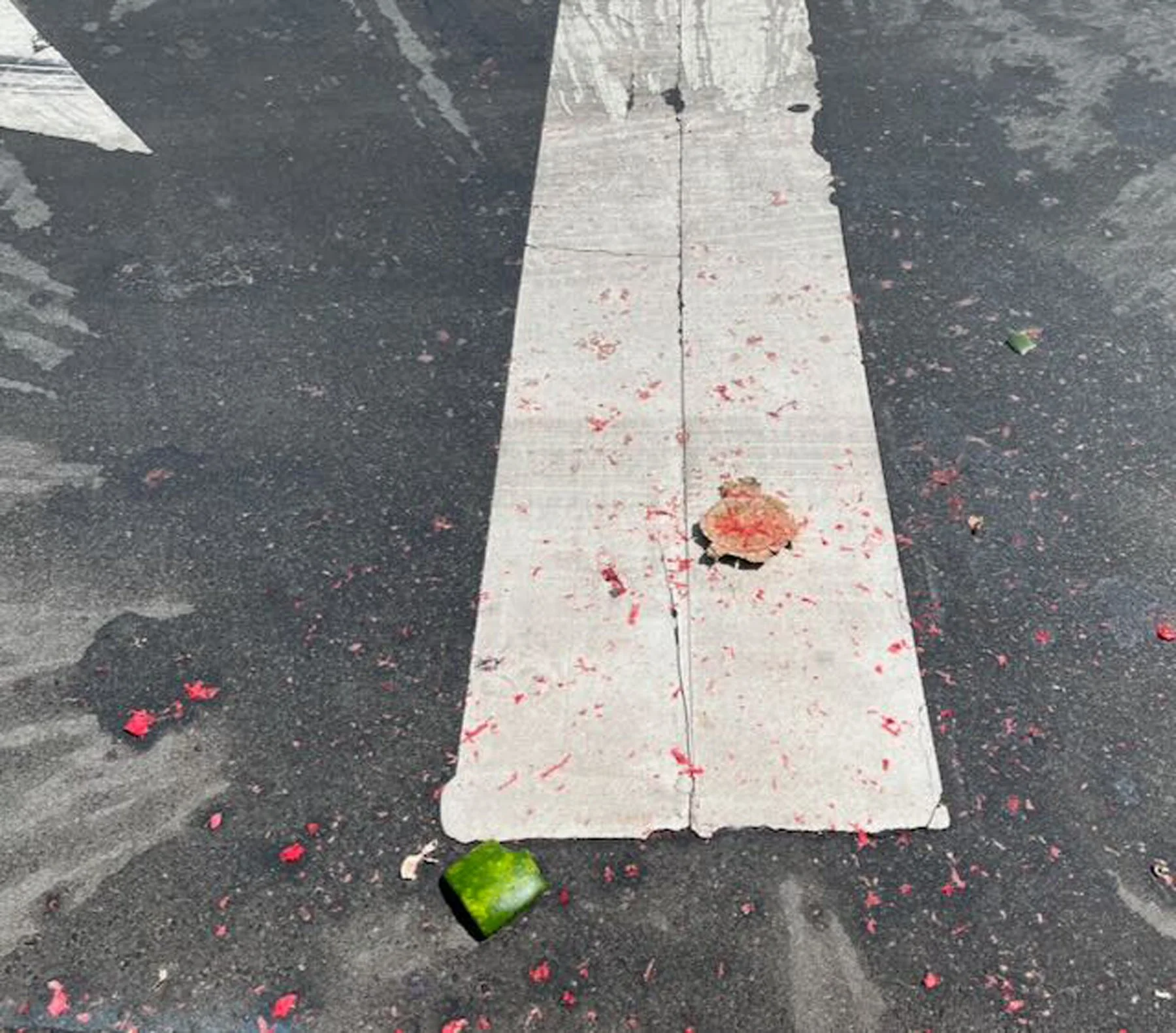 Watermelon.jpg