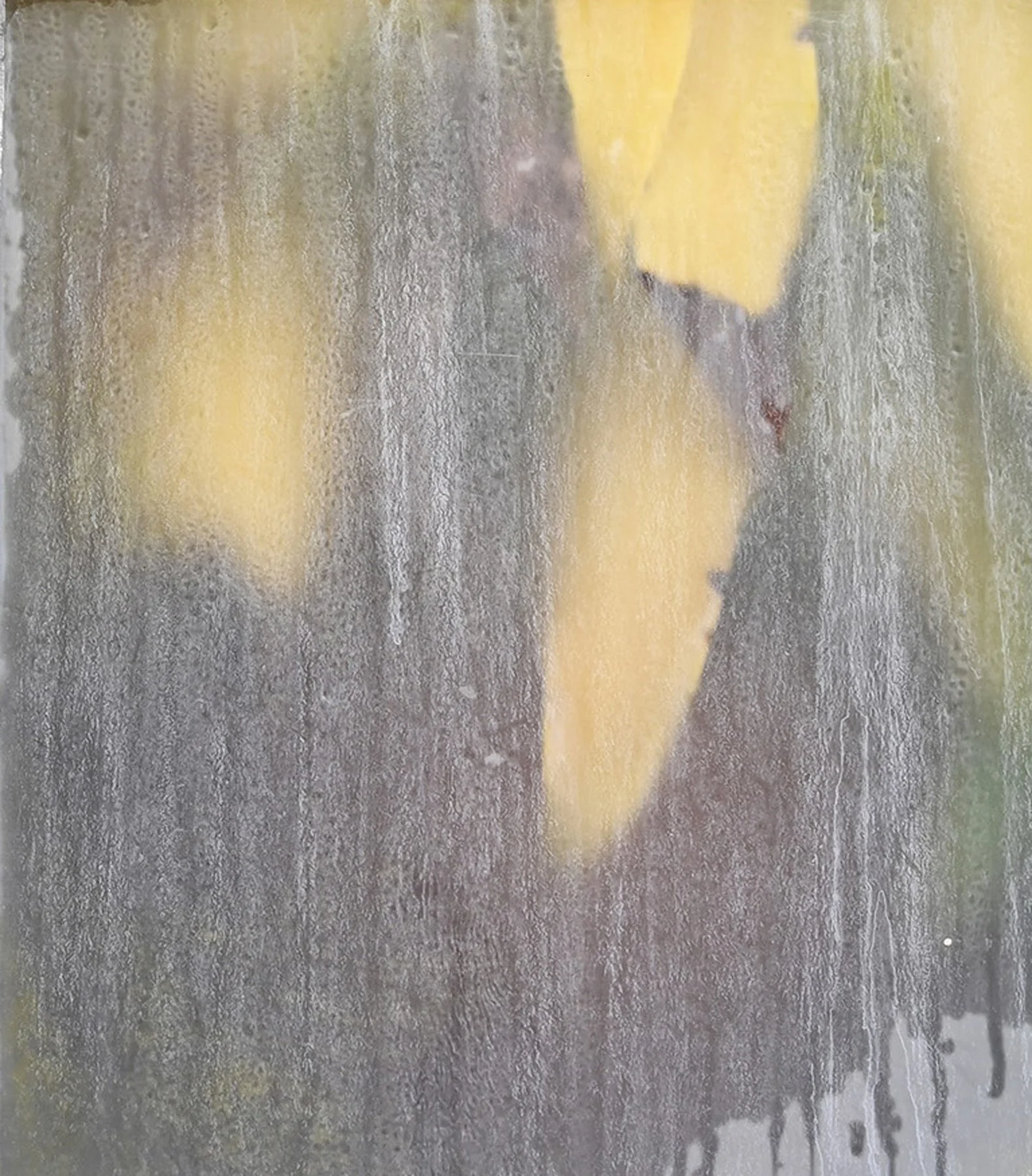 BiltmoreWindowYelloCrop.jpg