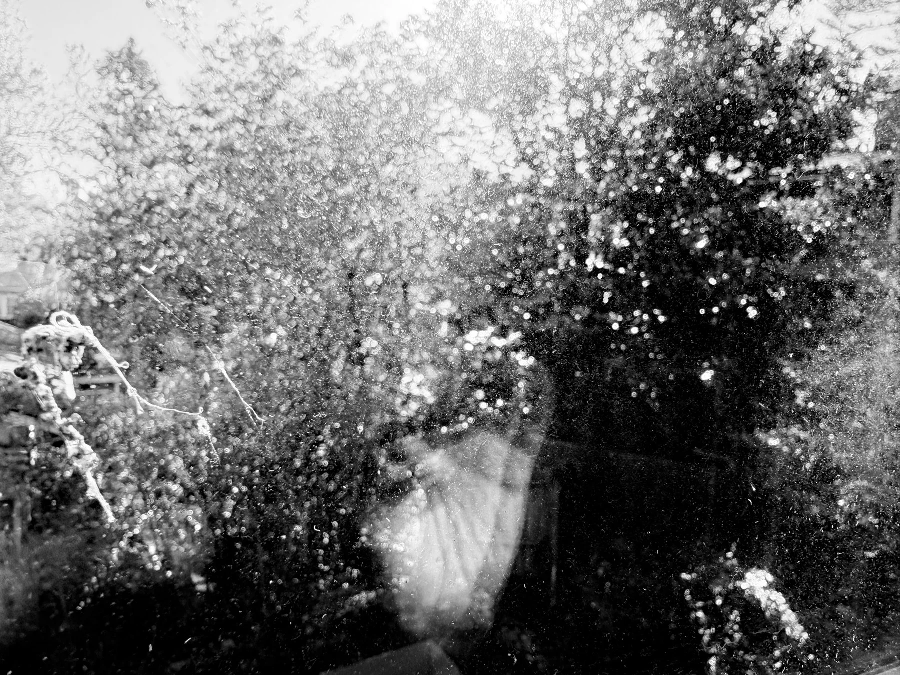 HandSplatterB&W.jpg